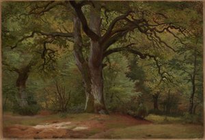 Ekskog i Solling av Johann Wilhelm Schirmer