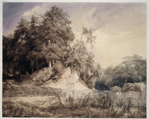 Skogslandskap med sjö och svanar av Johann Wilhelm Schirmer