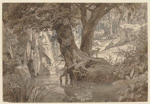 Skogslandskap av Johann Wilhelm Schirmer