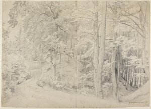 I bokskogen av Johann Wilhelm Schirmer