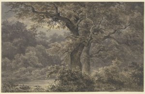 Ekar i skogen av Johann Wilhelm Schirmer