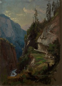 Din ondska
