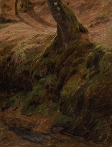 Skogssluttning med trädstam av Johann Wilhelm Schirmer