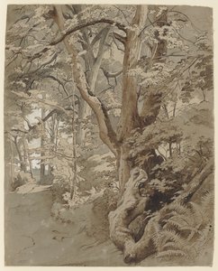 Skogsparti med en ek och ormbunkar av Johann Wilhelm Schirmer