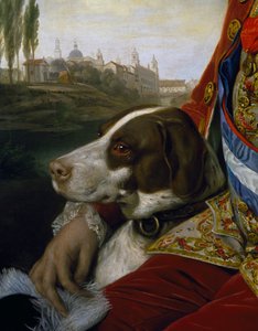 Hund, detalj från porträtt av Ferdinand av Bourbon, hertig av Parma