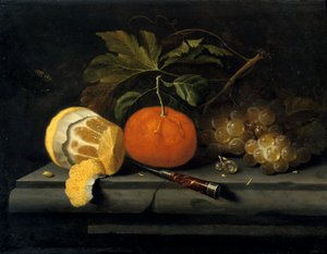 Frukter på en dukning av sten, c1653-1659 av Johannes Borman