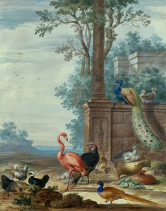 Ett italienskt landskap med en påfågel, fasan, flamingo och andra fåglar (gouache) av Johannes Bronckhorst