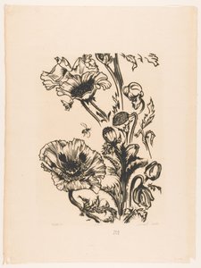 Studera papavers (originaltitel på objekt) av Johannes Frederik Engelbert ten Klooster (signed by artist)