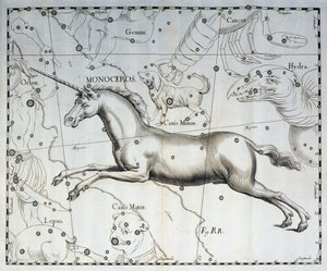 Monoceros, enhörningens stjärnbild, gravyr från den himmelska atlasen Firmamentum Sobiescianum sive Uronographia, av Johann Hevelius (1611-1687), Gdansk
