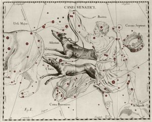 Stjärnbilden Canes Venatici, Jakthundar. Plåt tecknad från "" Firmamentum Sobiescanum sive Uranographia"" av Johannes Hevelius eller Hevel (1611-1687) av Johannes Hevelius