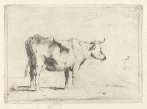 Ko, till höger av Johannes Janson (possibly)
