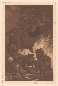 Flytande människor, fantasivarelser och katter av Johannes Josephus Aarts