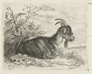 Liggande bok av Johannes Mock