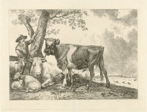 Oxen och bonden