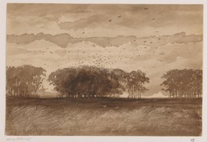 Rookery i Norra Brabant