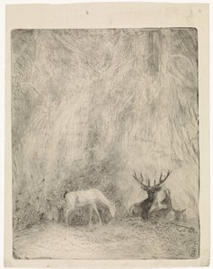 Rådjur i en bohemisk skog av Johannes Tavenraat