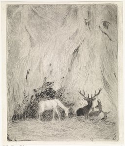 Rådjur i en bohemisk skog av Johannes Tavenraat