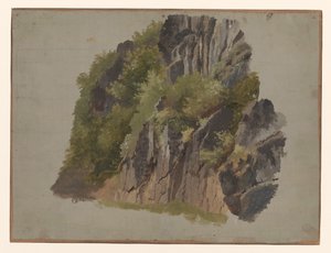 Stenar och vegetation av Johannes Tavenraat