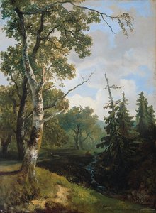 Skogsvy nära Wolfheze. av Johannes Warnardus Bilders