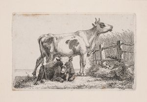 En vilande och en stående ko av Johannes Wilhelm Zillen