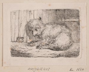 En långhårig hund av Johannes Wilhelm Zillen