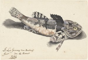 Undervattensväg av Johannes le Francq van Berkhey