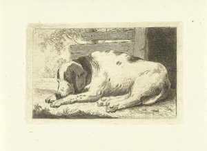 sovande hund