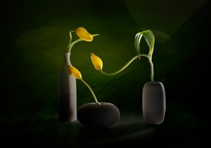 Gröna och gula blomvaser