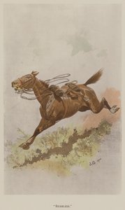 Riderless (färg litho)