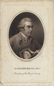 Sir Joseph Banks, engelsk naturforskare, botaniker och president för Royal Society (gravyr) av John (after) Russell