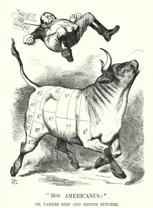 Punch tecknad: Bos Americanus; eller, Yankee Beef och British Butcher - förväntade fördelar för konsumenterna av att importera amerikanskt kött (gravyr) av John (after) Tenniel