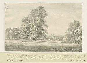 Lichfield Cathedral - Utsikt från Aldershaw (avlägsen): sepiateckning