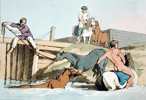 Badande hästar, etsad av konstnären, publicerad 1803 (färglitografi) av John Augustus Atkinson