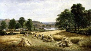 Samla guldkornet nära Bishopsteignton, Plymouth av John Barrett