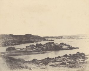 Elefantine. Första grå starr av John Beasly Greene
