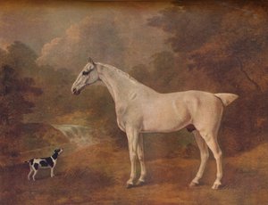En loppbiten grå och en fläckig terrier, 1803.