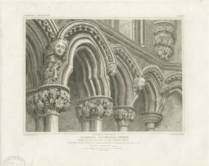 Interiör av Lichfield Cathedral - Arches in Chapter House: gravyr, nd [c 1819] (tryck)