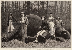 Elefantskjutning i Ceylon, ett enormt stenbrott