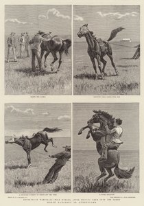 Horse Ranching i Queensland av John Charles Dollman