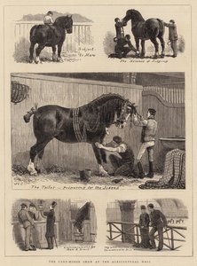 Cart-Horse Show på Lantbrukshallen av John Charles Dollman