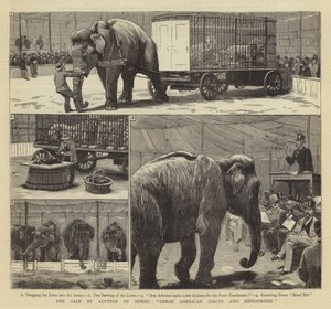 Försäljningen på auktion av Myers Great American Circus and Hippodrome