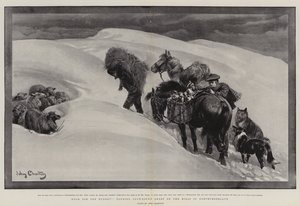 Mat för de hungriga, sköta snöbundna får på kullarna i Northumberland