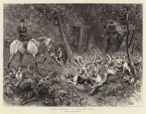 Hårt pressad, en skogsscen