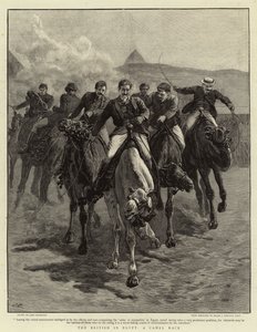 Britterna i Egypten, A Camel Race
