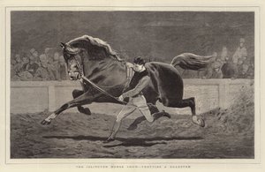 Islington Horse Show, med en Roadster i trav.