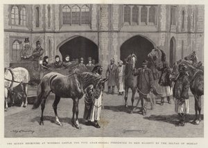 Drottningen tar emot de fem arabiska hästarna på Windsor Castle som presenterades för hennes majestät av sultanen av Muscat