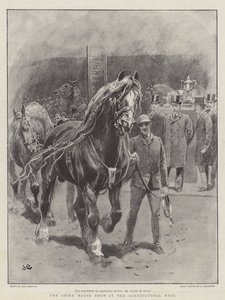 Shire Horse Show på Lantbrukshallen av John Charlton