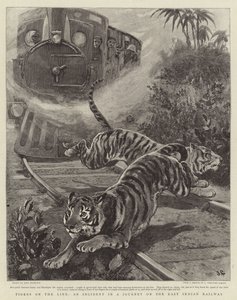 Tigers on the Line, en incident i en resa på East Indian Railway