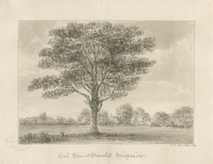 Boscobel - The Royal Oak: sepiateckning, 1820 av John Chessell Buckler