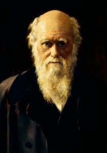 Porträtt av Charles Darwin
